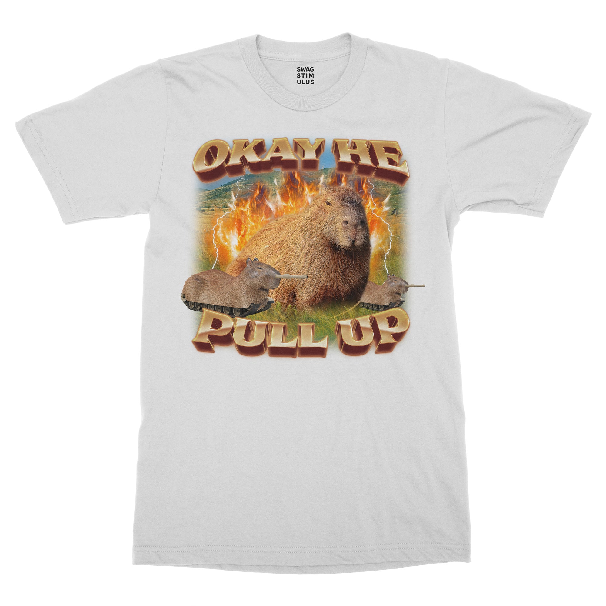 Okay He Pull Up Capybara T-Shirt – Swag Stimulus